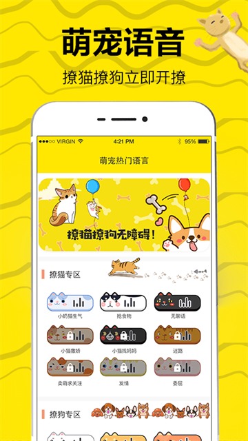 猫语交流翻译器图1