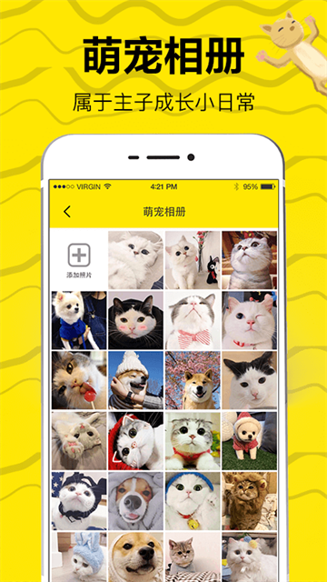 猫语交流翻译器图5