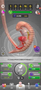 人类进化史图2