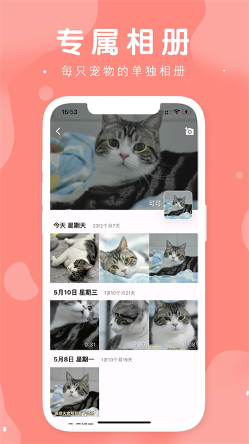有宠图4