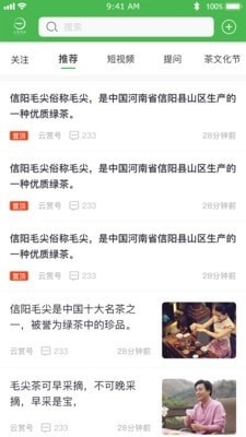云赏信阳毛尖最新版图4